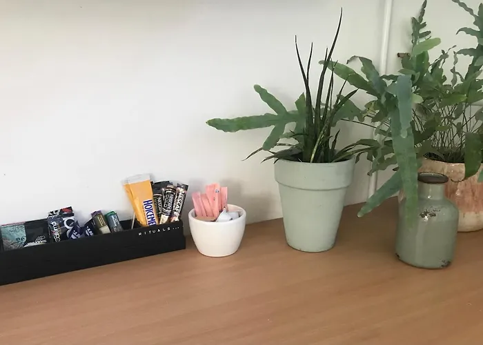 De Vlies Гостевой дом Венрай